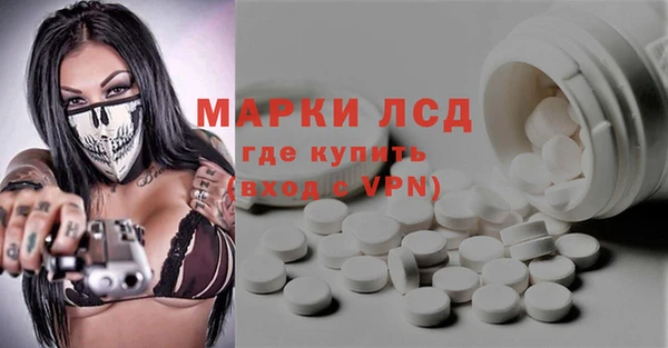 гидра Аркадак
