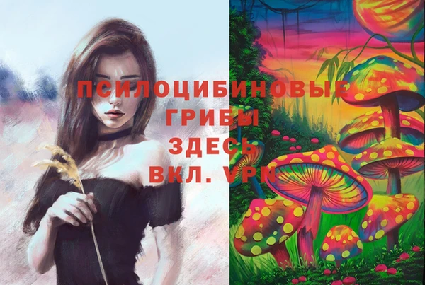 герыч Арсеньев