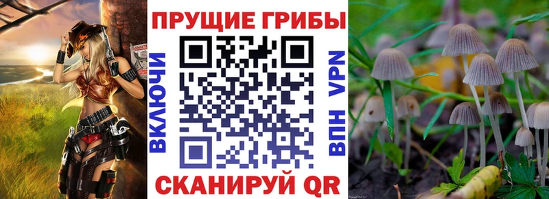 Галлюциногенные грибы прущие грибы  купить   Туринск 